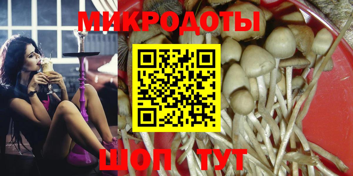 Кизляр  Псилоцибиновые грибы мицелий  Псилоцибиновые грибы мицелий  Вход с VPN 