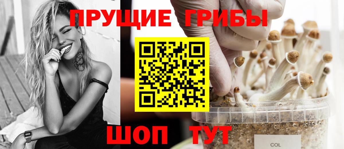 Псилоцибиновые грибы Cubensis Кизляр